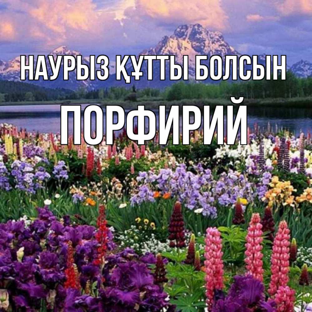 Открытка на каждый день с именем, Порфирий Наурыз құтты болсын наурыз Прикольная открытка с пожеланием онлайн скачать бесплатно 