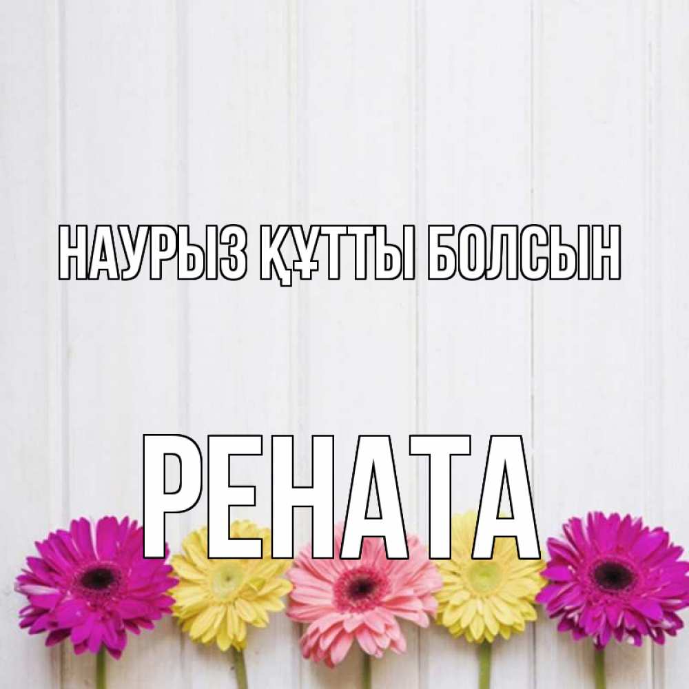 Открытка на каждый день с именем, Рената Наурыз құтты болсын женщинам 1 Прикольная открытка с пожеланием онлайн скачать бесплатно 
