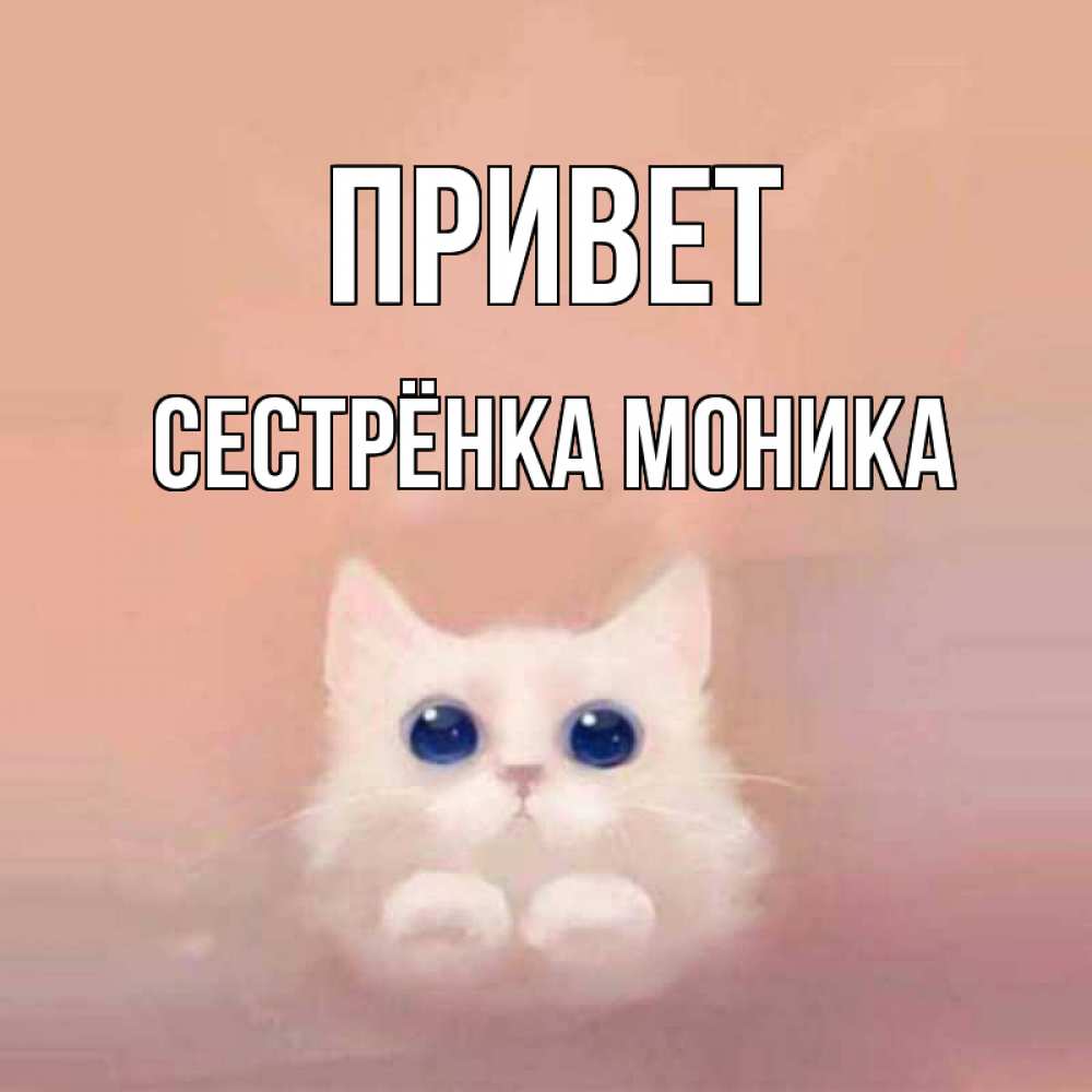 Открытка на каждый день с именем, Сестрёнка-Моника Привет котик белый в полете Прикольная открытка с пожеланием онлайн скачать бесплатно 