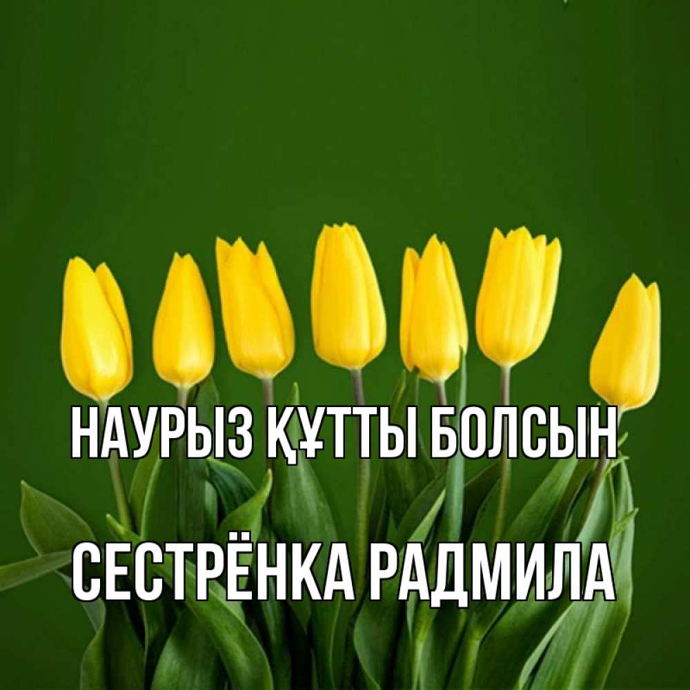 Открытка на каждый день с именем, Сестрёнка-Радмила Наурыз құтты болсын желтого цвета 3 Прикольная открытка с пожеланием онлайн скачать бесплатно 