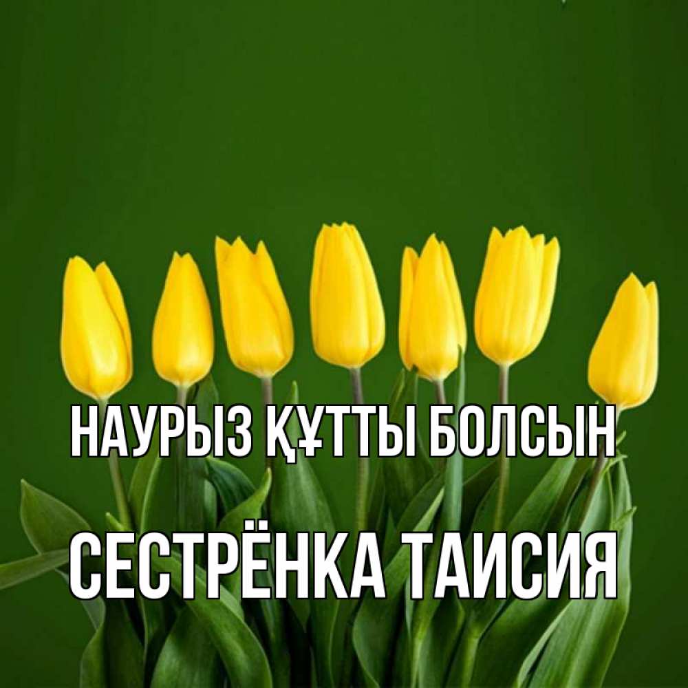 Открытка на каждый день с именем, Сестрёнка-Таисия Наурыз құтты болсын желтого цвета 3 Прикольная открытка с пожеланием онлайн скачать бесплатно 