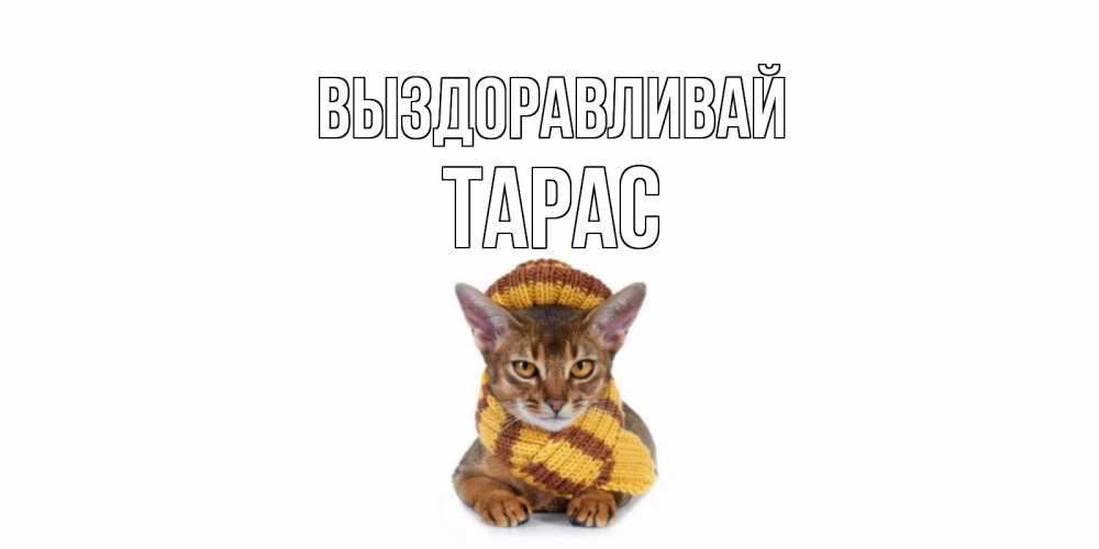 Открытка на каждый день с именем, Тарас Выздоравливай родные не болейте Прикольная открытка с пожеланием онлайн скачать бесплатно 