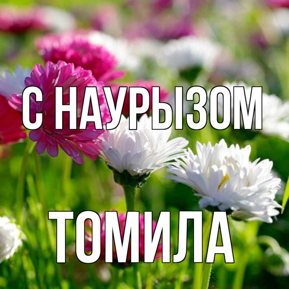 Открытка на каждый день с именем, Томила С наурызом праздник весны наурыз красота Прикольная открытка с пожеланием онлайн скачать бесплатно 