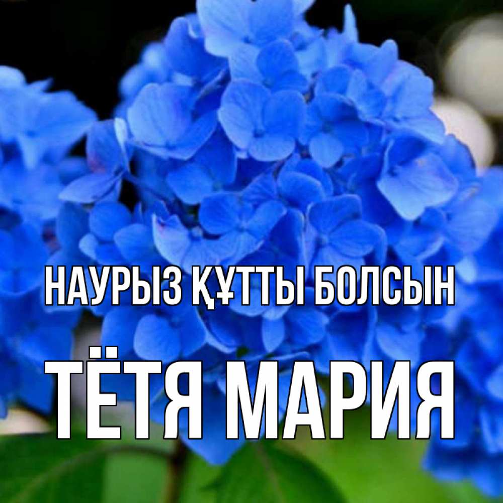 Открытка на каждый день с именем, Тётя-Мария Наурыз құтты болсын синие цветы Прикольная открытка с пожеланием онлайн скачать бесплатно 