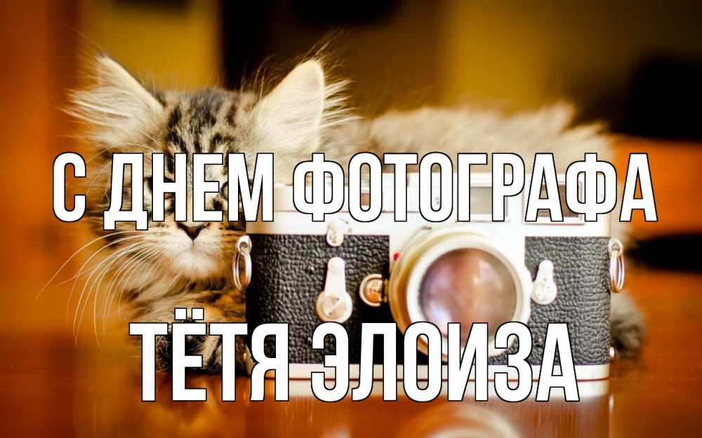 Открытка на каждый день с именем, Тётя-Элоиза С днем фотографа с днем фотографа Прикольная открытка с пожеланием онлайн скачать бесплатно 