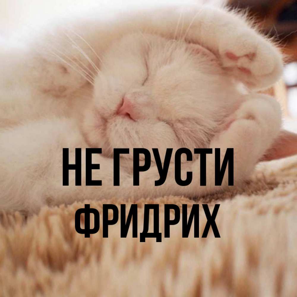 Открытка на каждый день с именем, Фридрих Не грусти Котенок спит Прикольная открытка с пожеланием онлайн скачать бесплатно 
