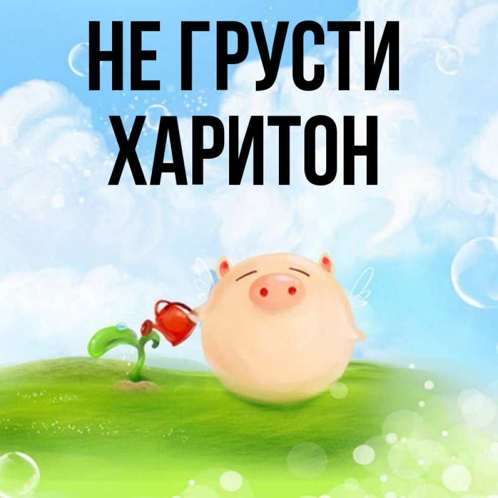 Открытка на каждый день с именем, Харитон Не грусти поливает цветок порося Прикольная открытка с пожеланием онлайн скачать бесплатно 