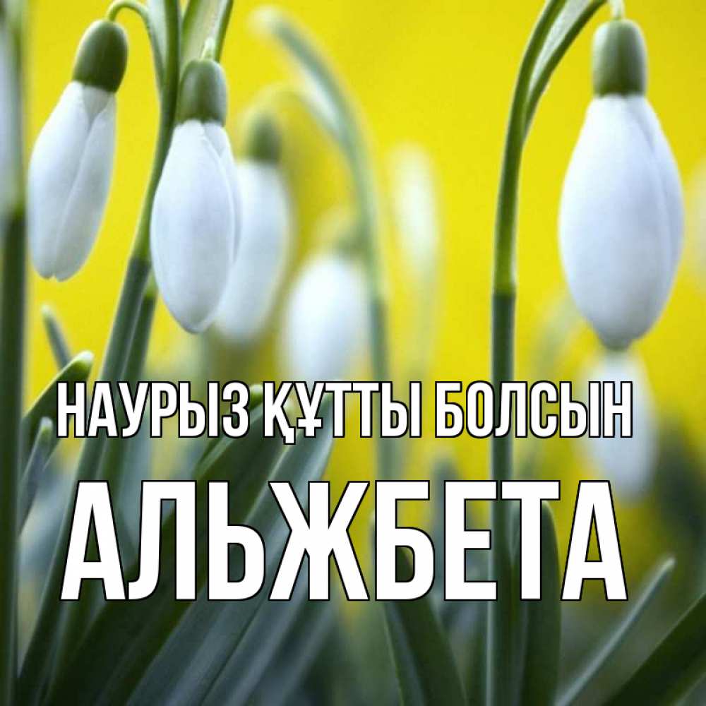 Открытка на каждый день с именем, Альжбета Наурыз құтты болсын весенние цветы Прикольная открытка с пожеланием онлайн скачать бесплатно 