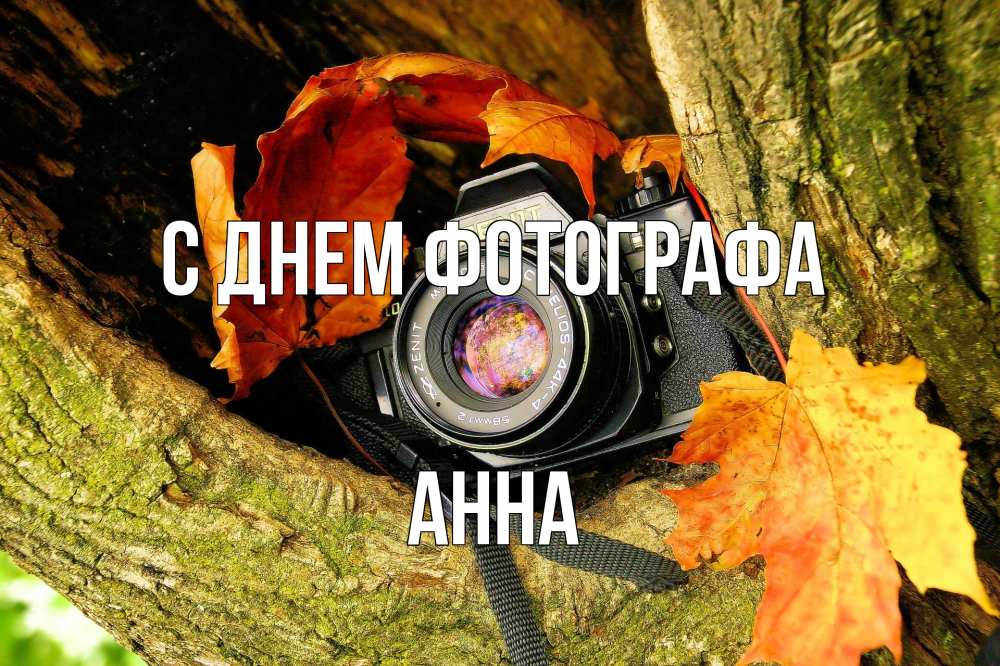 Открытка на каждый день с именем, Анна С днем фотографа с днем фотографа 1 Прикольная открытка с пожеланием онлайн скачать бесплатно 
