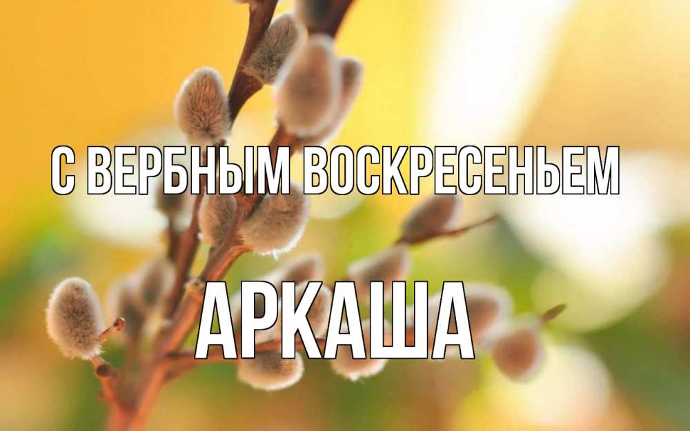 Открытка на каждый день с именем, Аркаша С вербным воскресеньем верба Прикольная открытка с пожеланием онлайн скачать бесплатно 