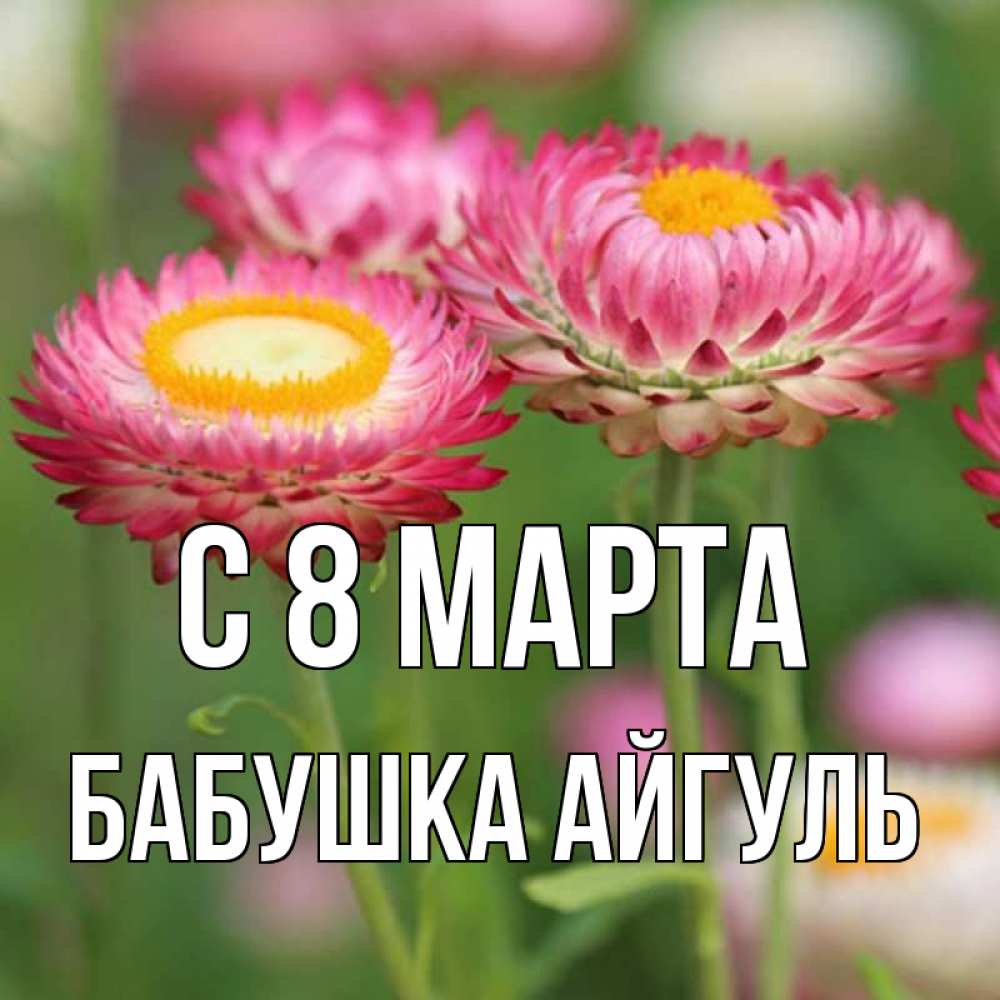 Открытка на каждый день с именем, Бабушка-Айгуль С 8 марта подарок на международный женский день Прикольная открытка с пожеланием онлайн скачать бесплатно 