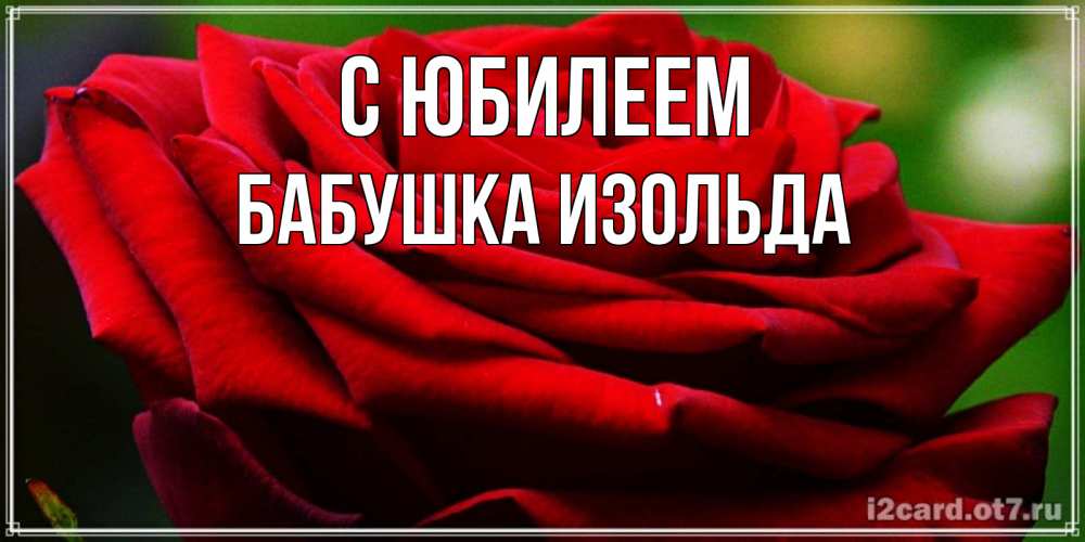 Открытка на каждый день с именем, Бабушка-Изольда С юбилеем розочка очень красивая Прикольная открытка с пожеланием онлайн скачать бесплатно 
