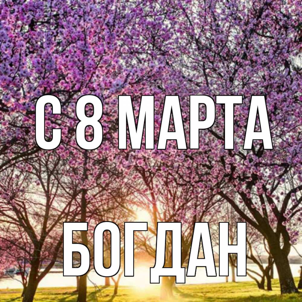 Открытка на каждый день с именем, Богдан С 8 МАРТА международный женский день Прикольная открытка с пожеланием онлайн скачать бесплатно 