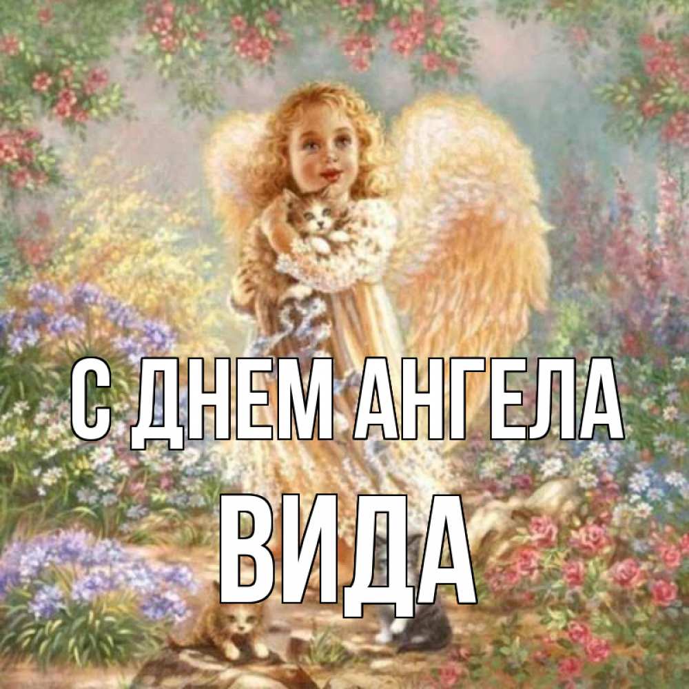 Открытка на каждый день с именем, Вида С днем ангела держит котенка Прикольная открытка с пожеланием онлайн скачать бесплатно 
