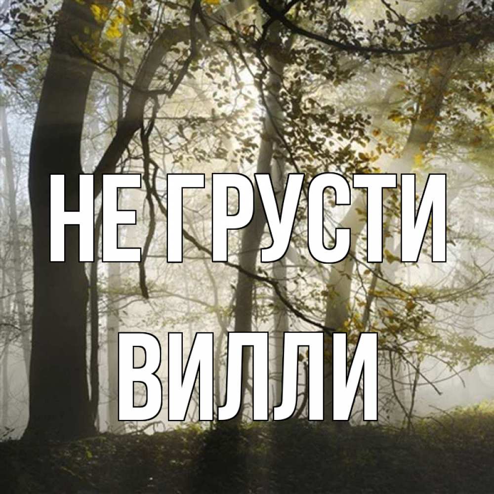 Открытка на каждый день с именем, Вилли Не грусти лес и свет Прикольная открытка с пожеланием онлайн скачать бесплатно 