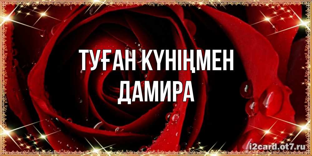 Открытка на каждый день с именем, Дамира Туған күніңмен цветок в росе на день рождения Прикольная открытка с пожеланием онлайн скачать бесплатно 