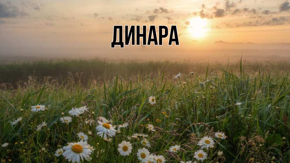 Открытка на каждый день с именем, Динара Главная с днем семьи Прикольная открытка с пожеланием онлайн скачать бесплатно 