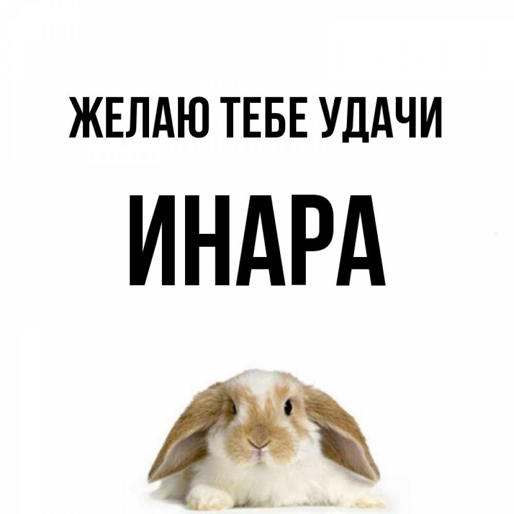 Открытка на каждый день с именем, Инара Желаю тебе удачи открытки с произвольным текстом который можно вставить в открытку и создать ее самостоятельно бесплатно онлайн Прикольная открытка с пожеланием онлайн скачать бесплатно 