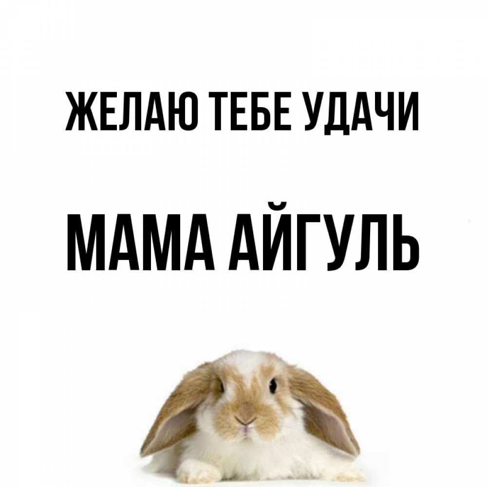 Открытка на каждый день с именем, Мама-Айгуль Желаю тебе удачи открытки с произвольным текстом который можно вставить в открытку и создать ее самостоятельно бесплатно онлайн Прикольная открытка с пожеланием онлайн скачать бесплатно 