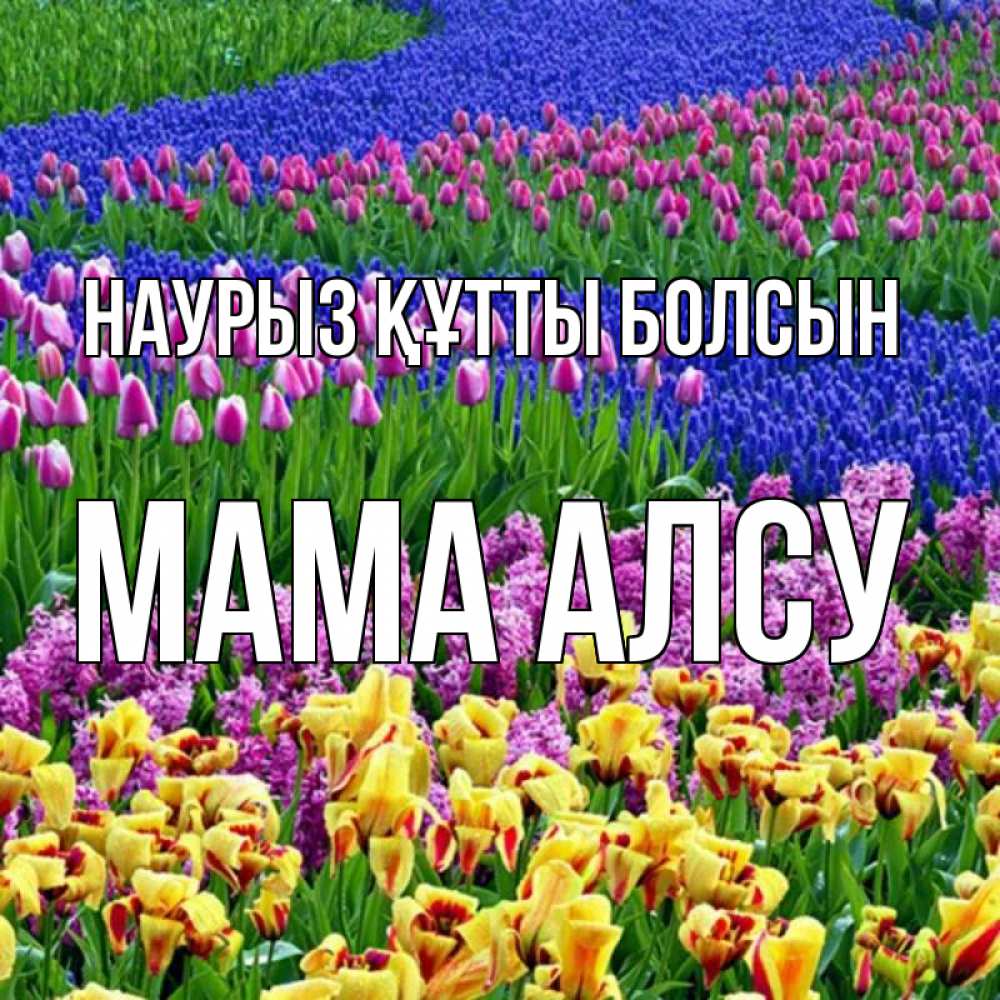 Открытка на каждый день с именем, Мама-Алсу Наурыз құтты болсын цветы Прикольная открытка с пожеланием онлайн скачать бесплатно 
