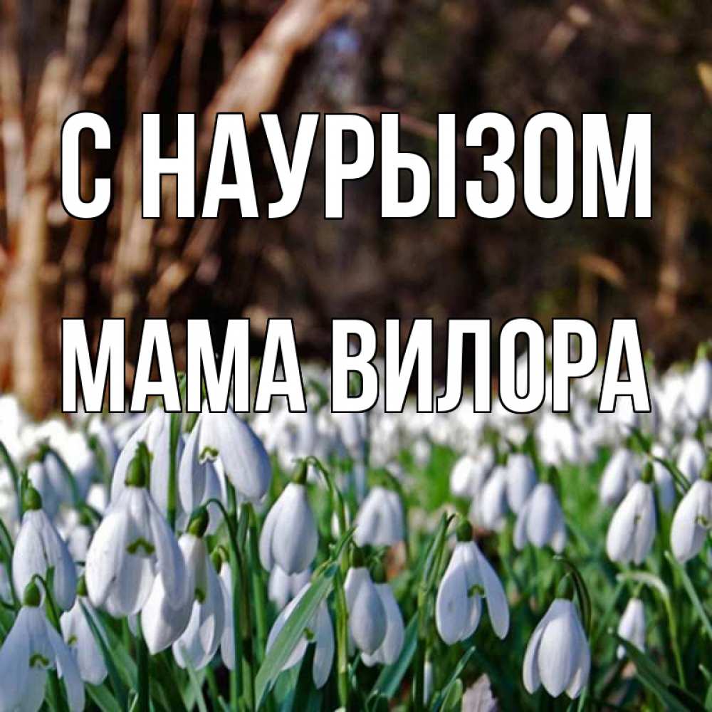 Открытка на каждый день с именем, Мама-Вилора С наурызом с подснежниками 1 Прикольная открытка с пожеланием онлайн скачать бесплатно 