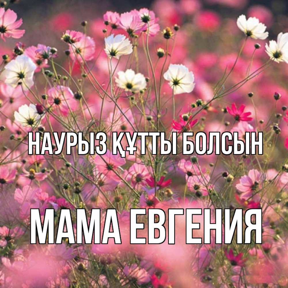 Открытка на каждый день с именем, Мама-Евгения Наурыз құтты болсын красиво 1 Прикольная открытка с пожеланием онлайн скачать бесплатно 