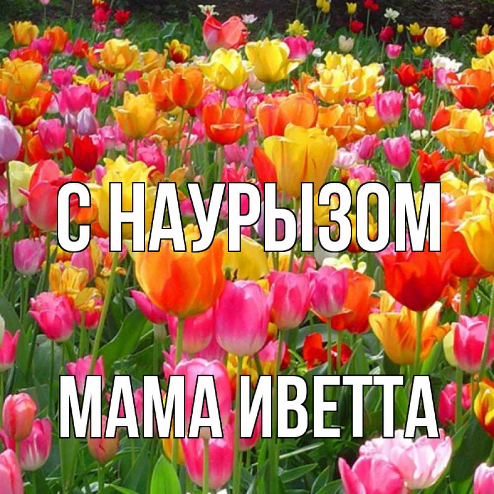 Открытка на каждый день с именем, Мама-Иветта С наурызом праздник весны наурыз 4 Прикольная открытка с пожеланием онлайн скачать бесплатно 