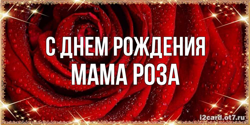 Открытка на каждый день с именем, Мама-Роза С днем рождения роса на розе блестящая в лучах солнца Прикольная открытка с пожеланием онлайн скачать бесплатно 