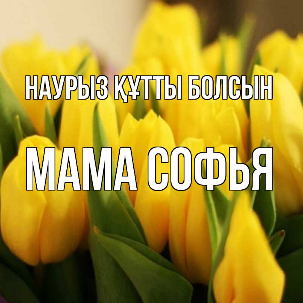 Открытка на каждый день с именем, Мама-Софья Наурыз құтты болсын цветы Прикольная открытка с пожеланием онлайн скачать бесплатно 