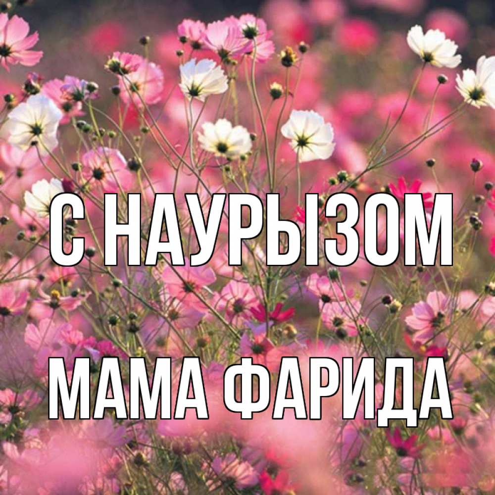 Открытка на каждый день с именем, Мама-Фарида С наурызом красиво 1 Прикольная открытка с пожеланием онлайн скачать бесплатно 