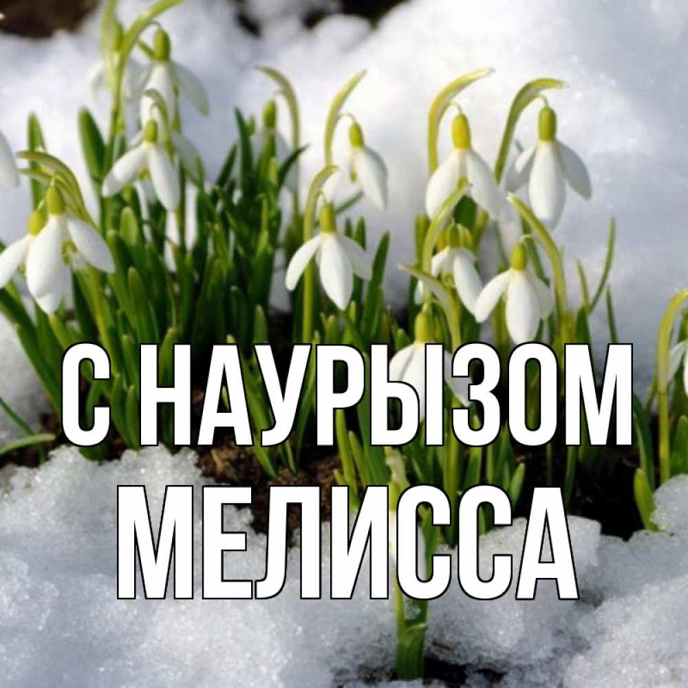 Открытка на каждый день с именем, Мелисса С наурызом цветы весенние Прикольная открытка с пожеланием онлайн скачать бесплатно 