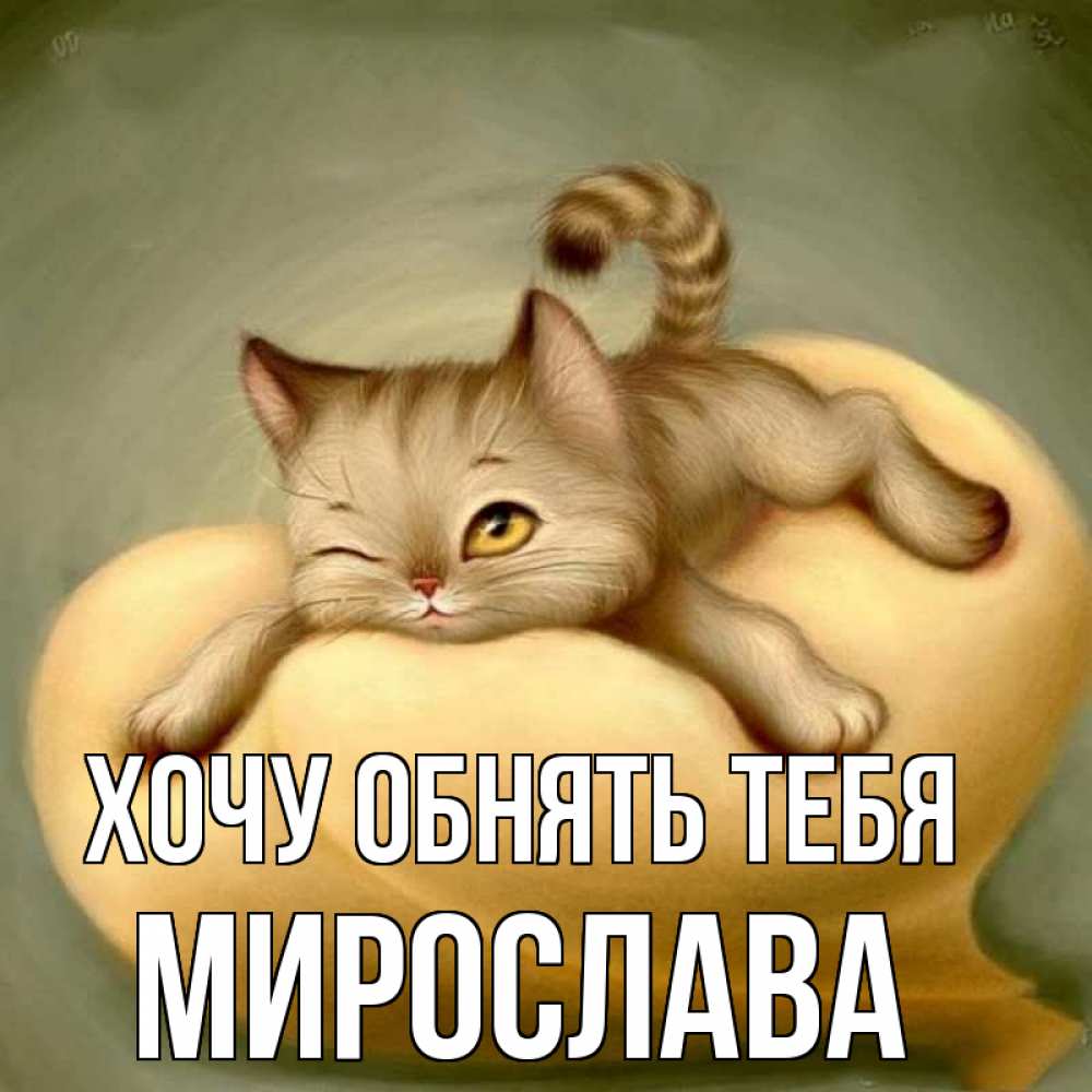 Открытка на каждый день с именем, Мирослава Хочу обнять тебя кошечка Прикольная открытка с пожеланием онлайн скачать бесплатно 