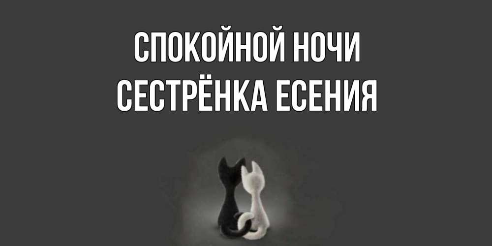 Открытка на каждый день с именем, Сестрёнка-Есения Спокойной ночи коты Прикольная открытка с пожеланием онлайн скачать бесплатно 