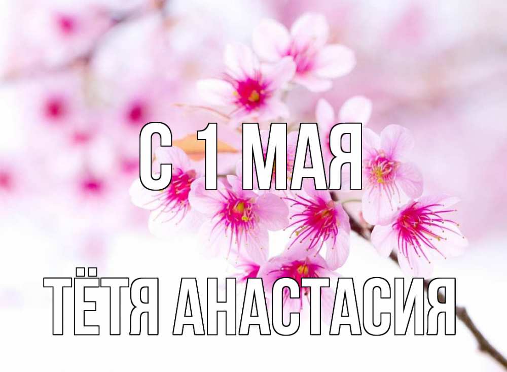 Открытка на каждый день с именем, Тётя-Анастасия С 1 мая С 1 мая 2 Прикольная открытка с пожеланием онлайн скачать бесплатно 