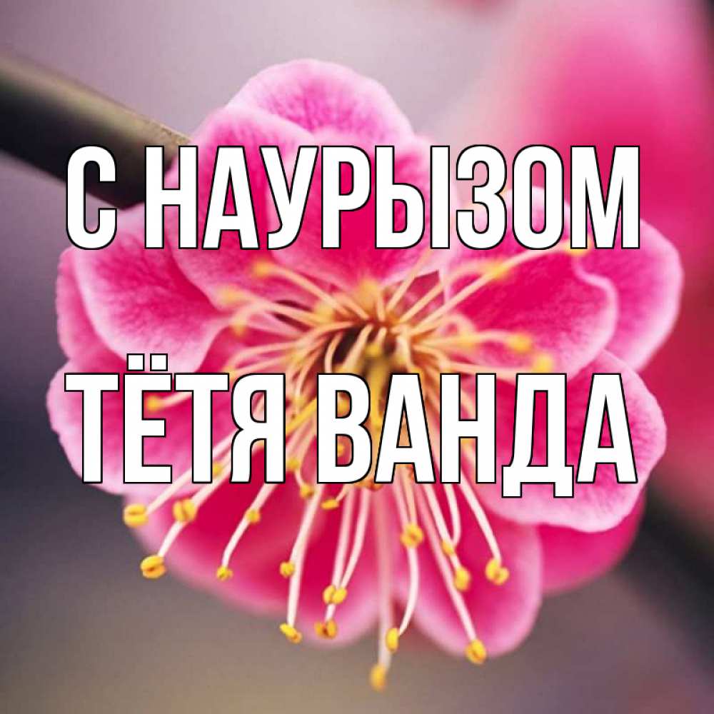 Открытка на каждый день с именем, Тётя-Ванда С наурызом цветы Прикольная открытка с пожеланием онлайн скачать бесплатно 