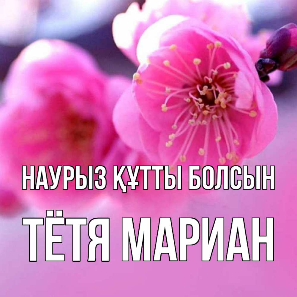Открытка на каждый день с именем, Тётя-Мариан Наурыз құтты болсын наурыз мейрам Прикольная открытка с пожеланием онлайн скачать бесплатно 