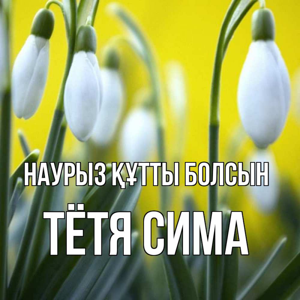 Открытка на каждый день с именем, Тётя-Сима Наурыз құтты болсын весенние цветы Прикольная открытка с пожеланием онлайн скачать бесплатно 