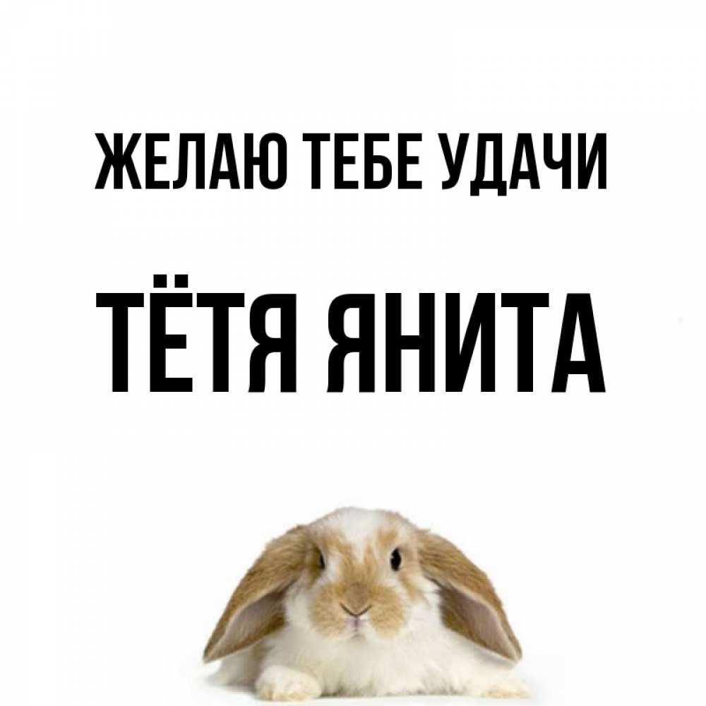 Открытка на каждый день с именем, Тётя-Янита Желаю тебе удачи открытки с произвольным текстом который можно вставить в открытку и создать ее самостоятельно бесплатно онлайн Прикольная открытка с пожеланием онлайн скачать бесплатно 