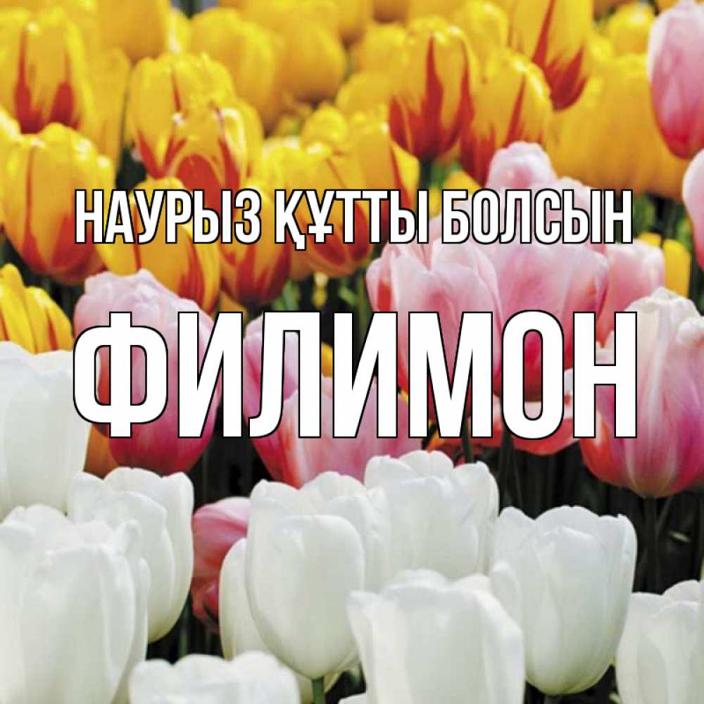 Открытка на каждый день с именем, Филимон Наурыз құтты болсын разноцветные цветы Прикольная открытка с пожеланием онлайн скачать бесплатно 