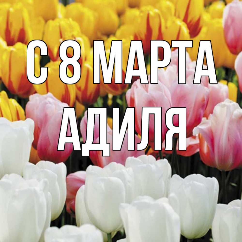 Открытка на каждый день с именем, Адиля С 8 МАРТА разноцветные цветы Прикольная открытка с пожеланием онлайн скачать бесплатно 