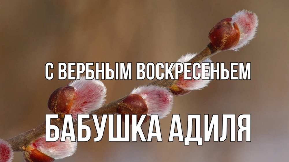 Открытка на каждый день с именем, Бабушка-Адиля С вербным воскресеньем верба Прикольная открытка с пожеланием онлайн скачать бесплатно 