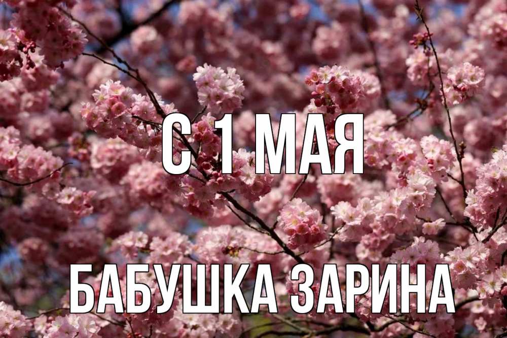 Открытка на каждый день с именем, Бабушка-Зарина С 1 мая С 1 мая Прикольная открытка с пожеланием онлайн скачать бесплатно 