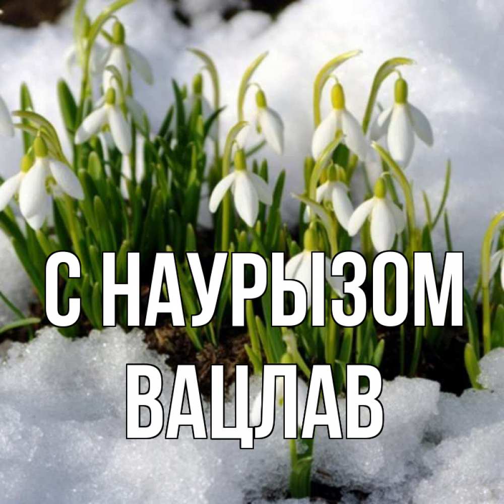 Открытка на каждый день с именем, Вацлав С наурызом цветы весенние Прикольная открытка с пожеланием онлайн скачать бесплатно 