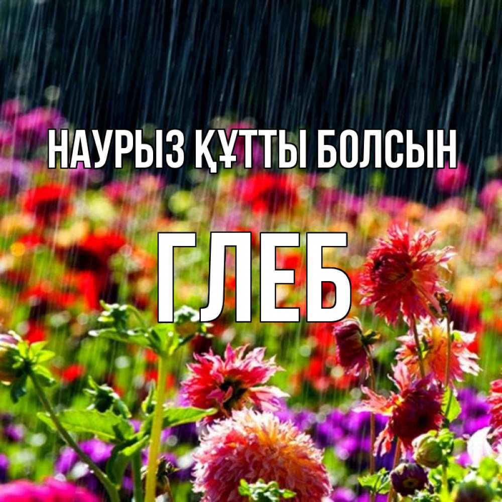 Открытка на каждый день с именем, Глеб Наурыз құтты болсын цветы под дождиком к наурызу Прикольная открытка с пожеланием онлайн скачать бесплатно 