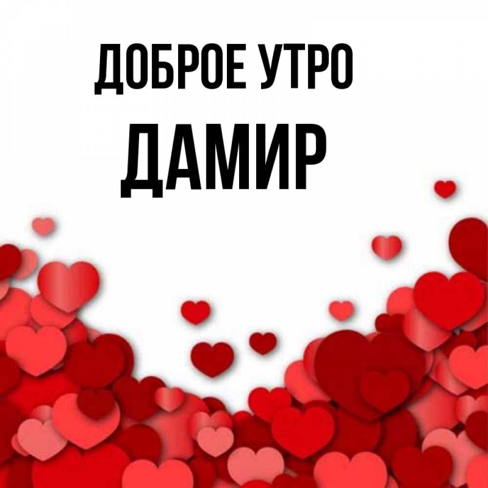 Открытка на каждый день с именем, Дамир Доброе утро хорошего настроения Прикольная открытка с пожеланием онлайн скачать бесплатно 