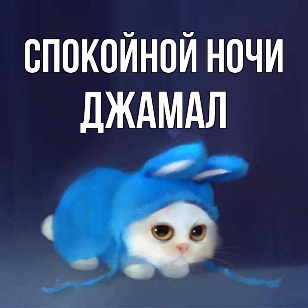 Открытка на каждый день с именем, Джамал Спокойной ночи кот в голубом костюме кролика с ушками Прикольная открытка с пожеланием онлайн скачать бесплатно 
