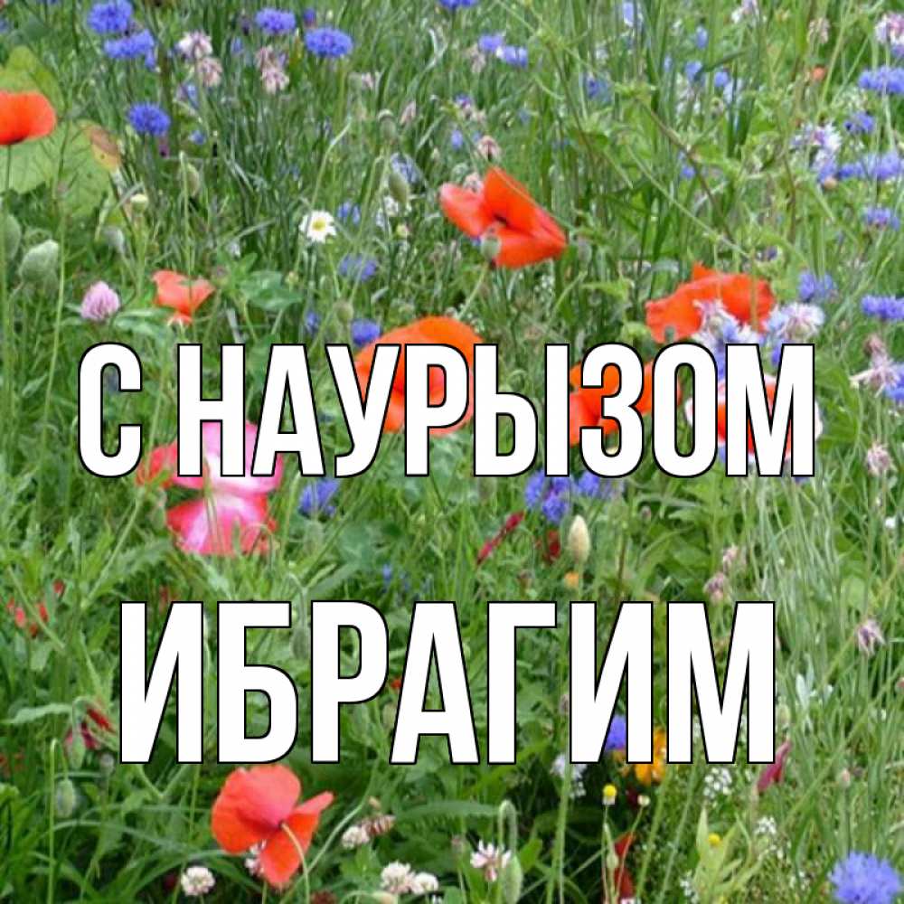 Открытка на каждый день с именем, Ибрагим С наурызом праздник весны наурыз супер открытка Прикольная открытка с пожеланием онлайн скачать бесплатно 
