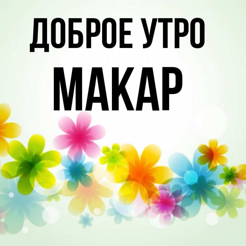 Открытка на каждый день с именем, Макар Доброе утро позитивные цветочки Прикольная открытка с пожеланием онлайн скачать бесплатно 