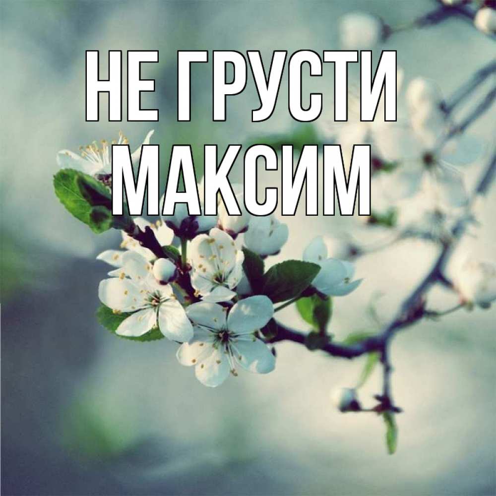 Открытка на каждый день с именем, Максим Не грусти яблоня в цвету 1 Прикольная открытка с пожеланием онлайн скачать бесплатно 
