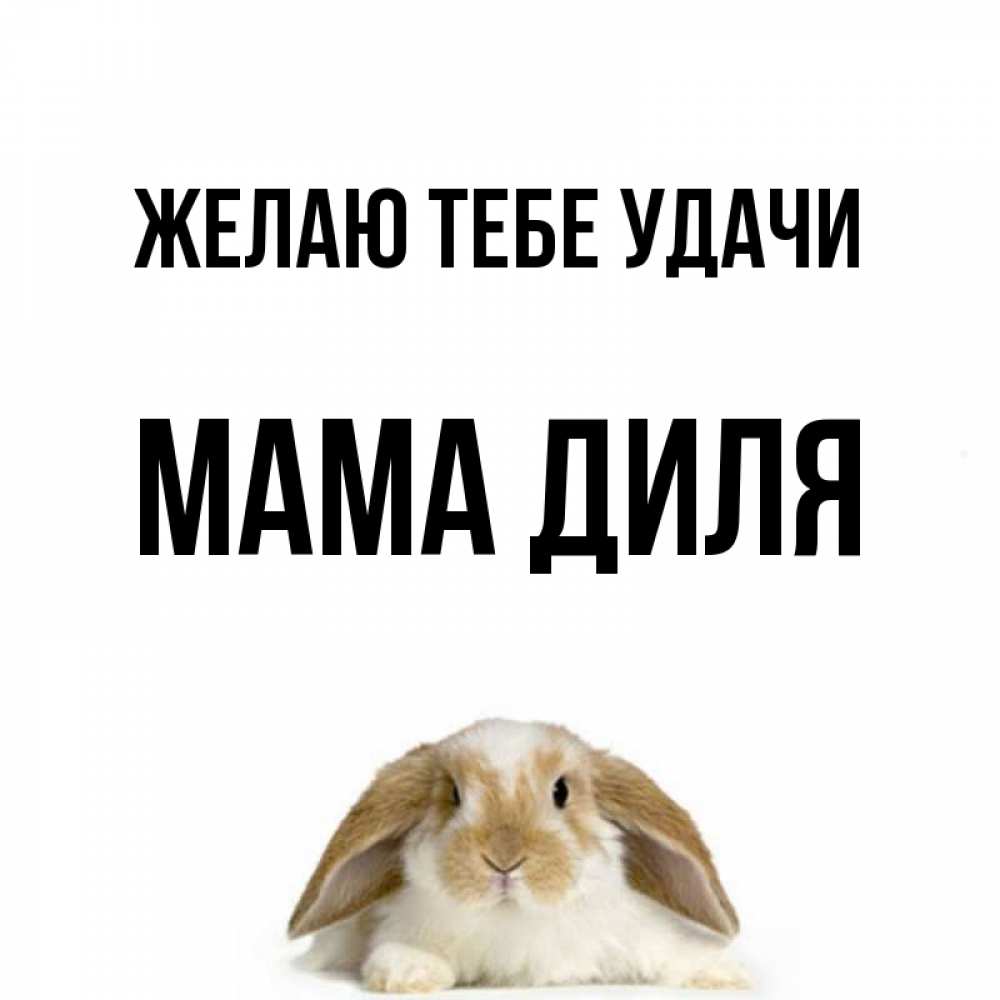 Открытка на каждый день с именем, Мама-Диля Желаю тебе удачи открытки с произвольным текстом который можно вставить в открытку и создать ее самостоятельно бесплатно онлайн Прикольная открытка с пожеланием онлайн скачать бесплатно 